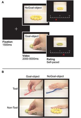 Modulating Mimetic Preference with Theta Burst Stimulation of the Inferior Parietal Cortex